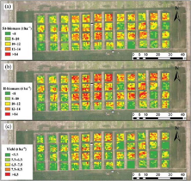 Biomass estimation example